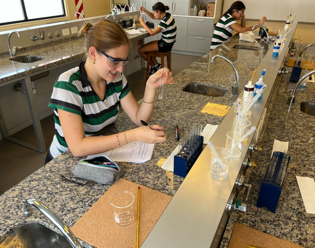 Proyecto Institucional 2025 del Belgrano Day School