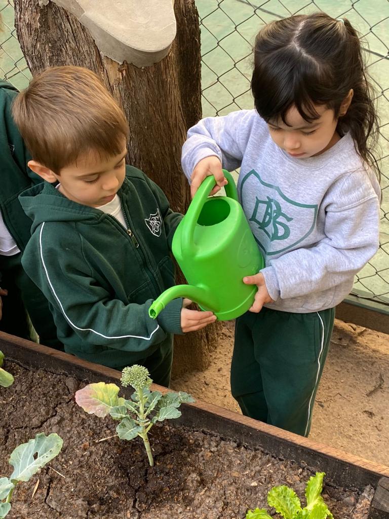 Proyecto Institucional 2025 del Belgrano Day School